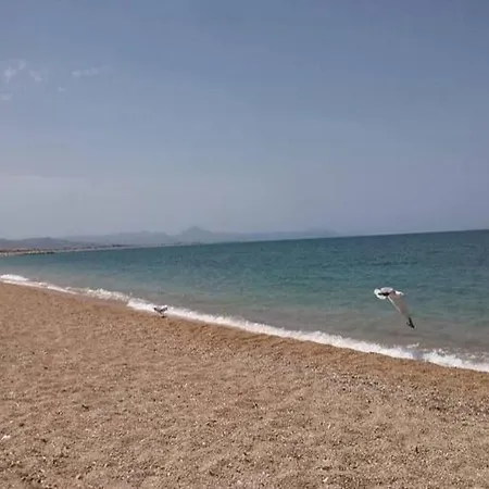 Estrellademar Lejlighed Dénia